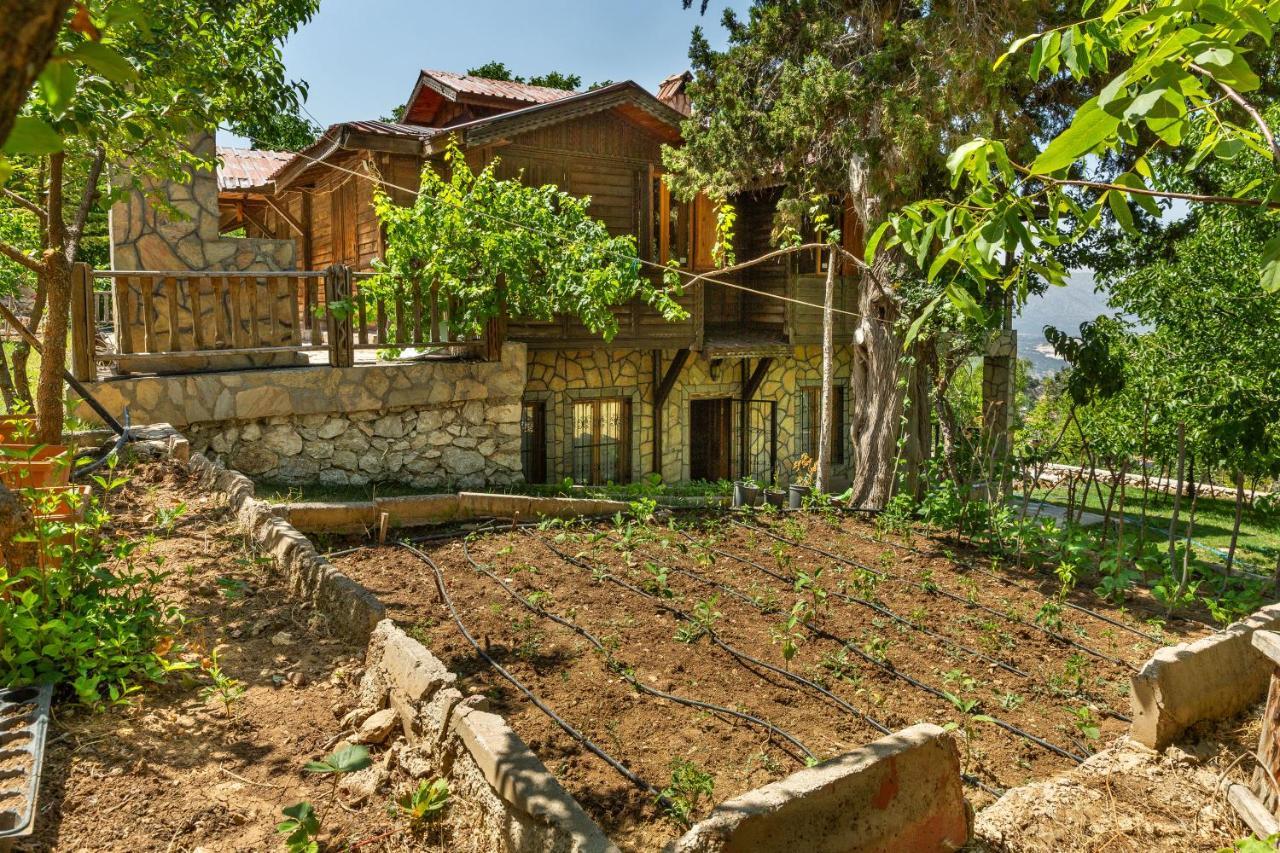 Chalet Feslikan Chalet *