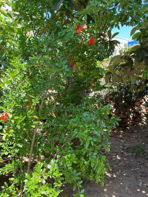 Daire 3 Odali Ful Esyali Antalya'nin Kalbinde Ev *