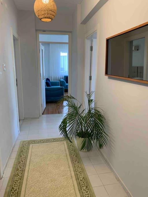 Apartment Centre- Location *