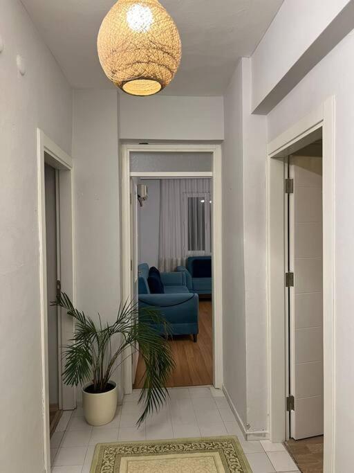 Centre- Location Apartment