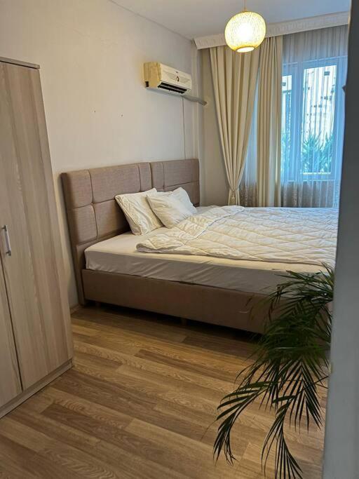 Apartment Centre- Location *