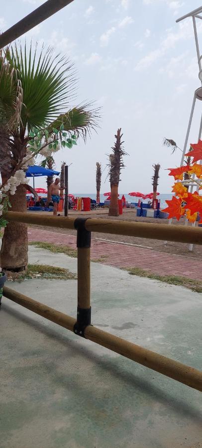 Karavan Tosbik Campsite *