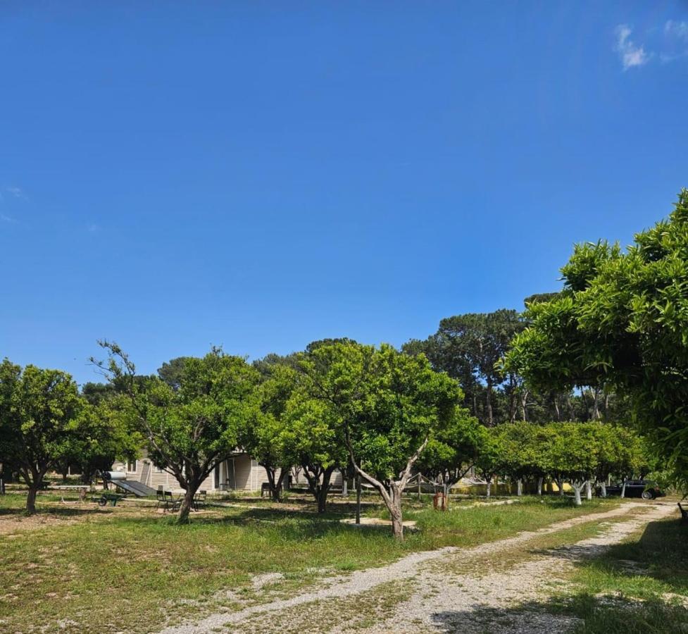 Campsite Orange Camp Antalya