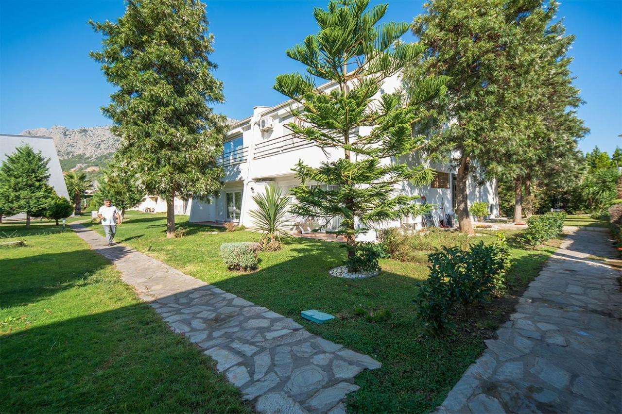 Magic Mountain Villa