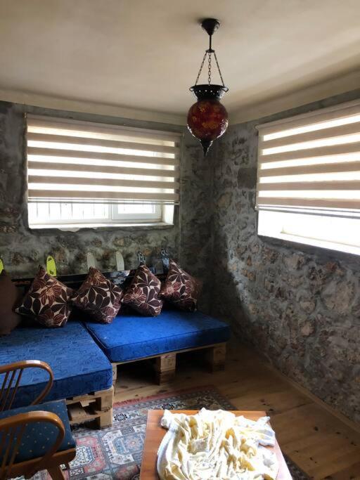 Ozzy Homes Apartment *