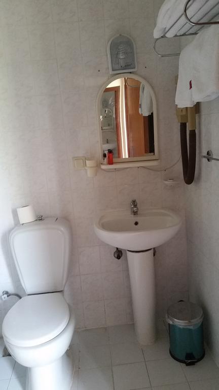 Ales Park Hotel *