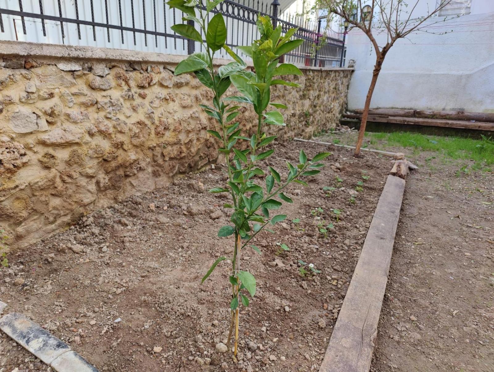 Pansiyon Sefin Villasi