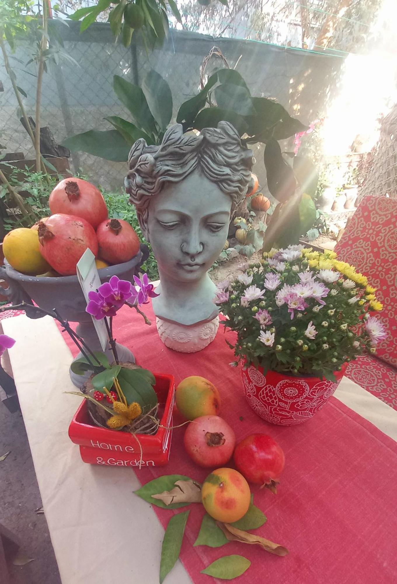 Demeter Rose Stonehouse Pansion Homestay