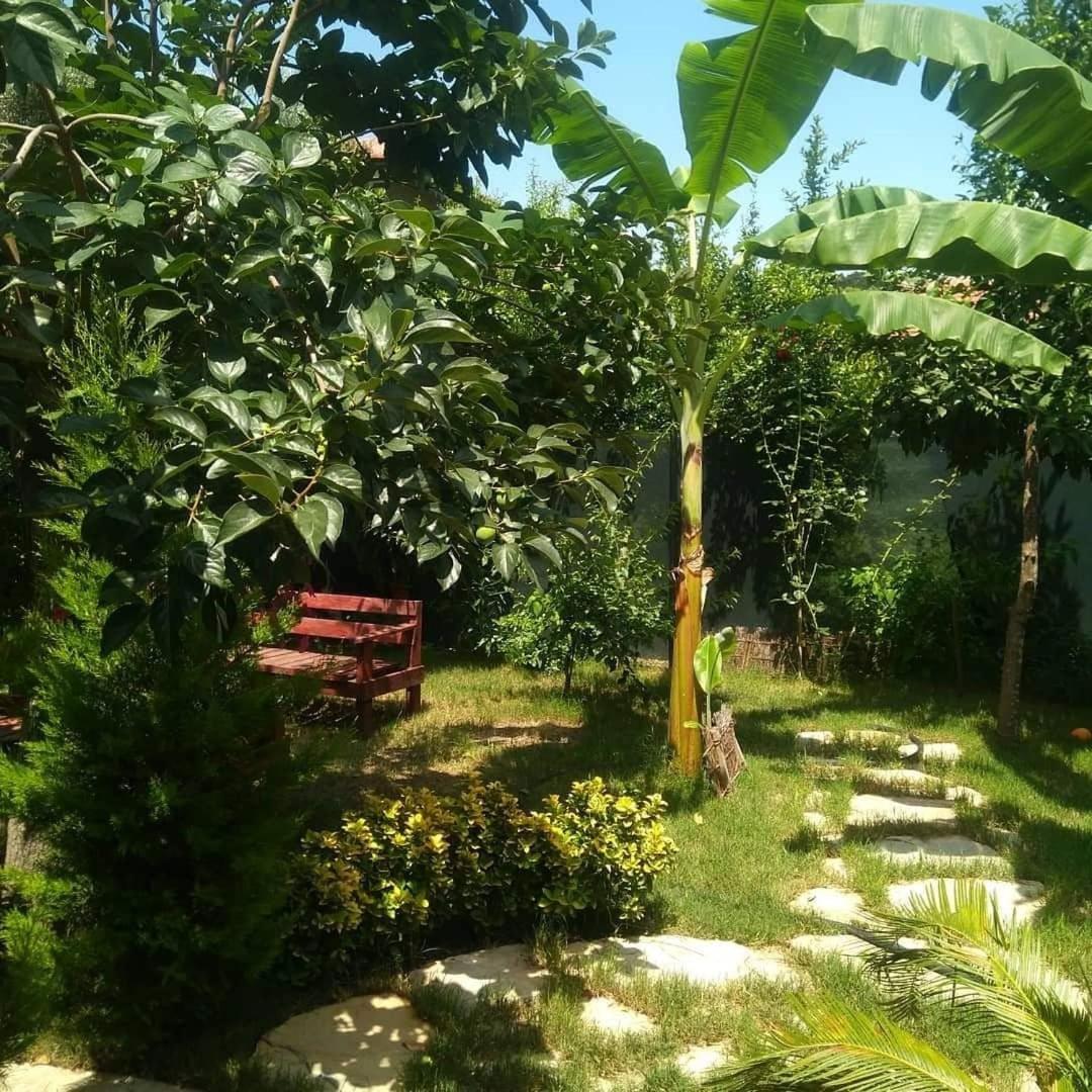 Homestay Demeter Rose Stonehouse Pansion Antalya