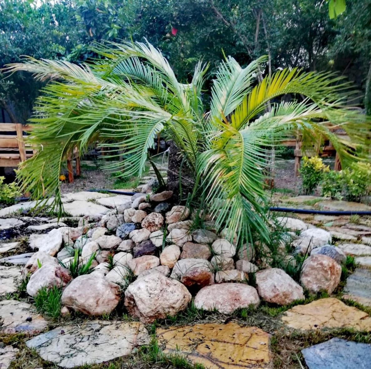 Homestay Demeter Rose Stonehouse Pansion *