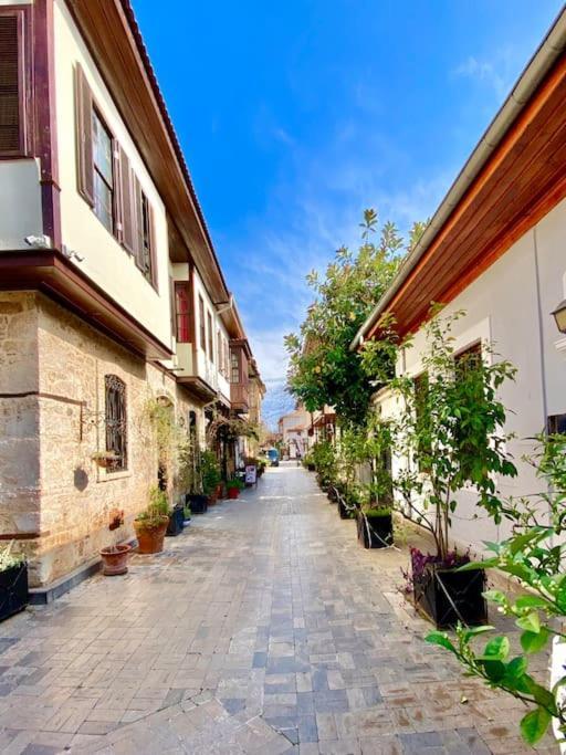 Necip Bey Elegant Villa *