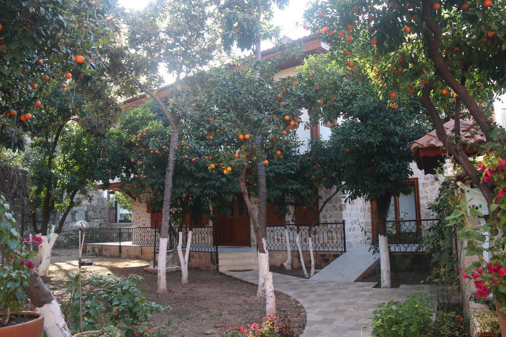 Citrus Garden 3*