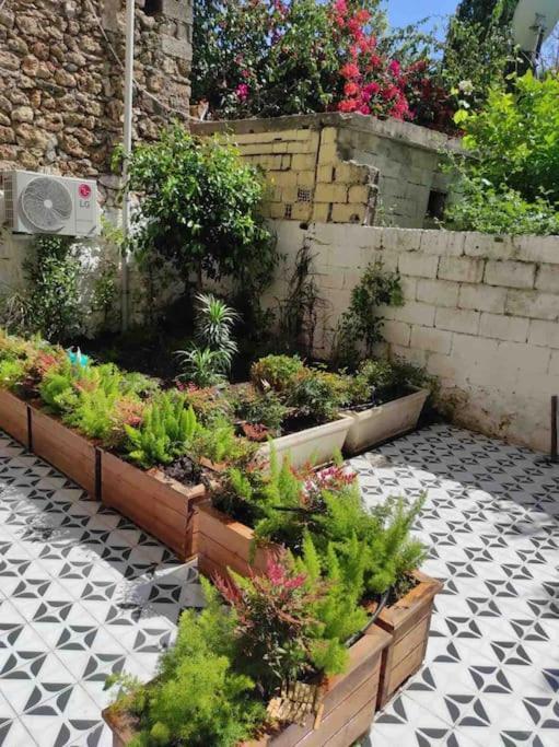 Center Of Old Town,2+1 Flat With Garden Antalya
