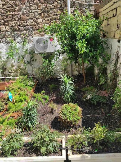 Apartment Center Of Old Town,2+1 Flat With Garden *