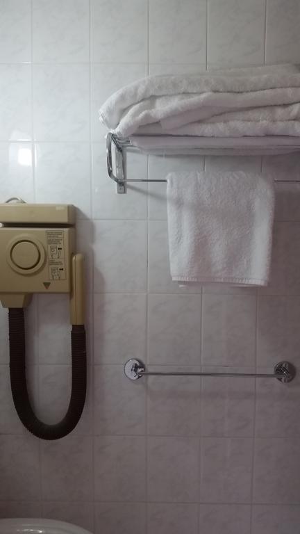 Ales Park Hotel *