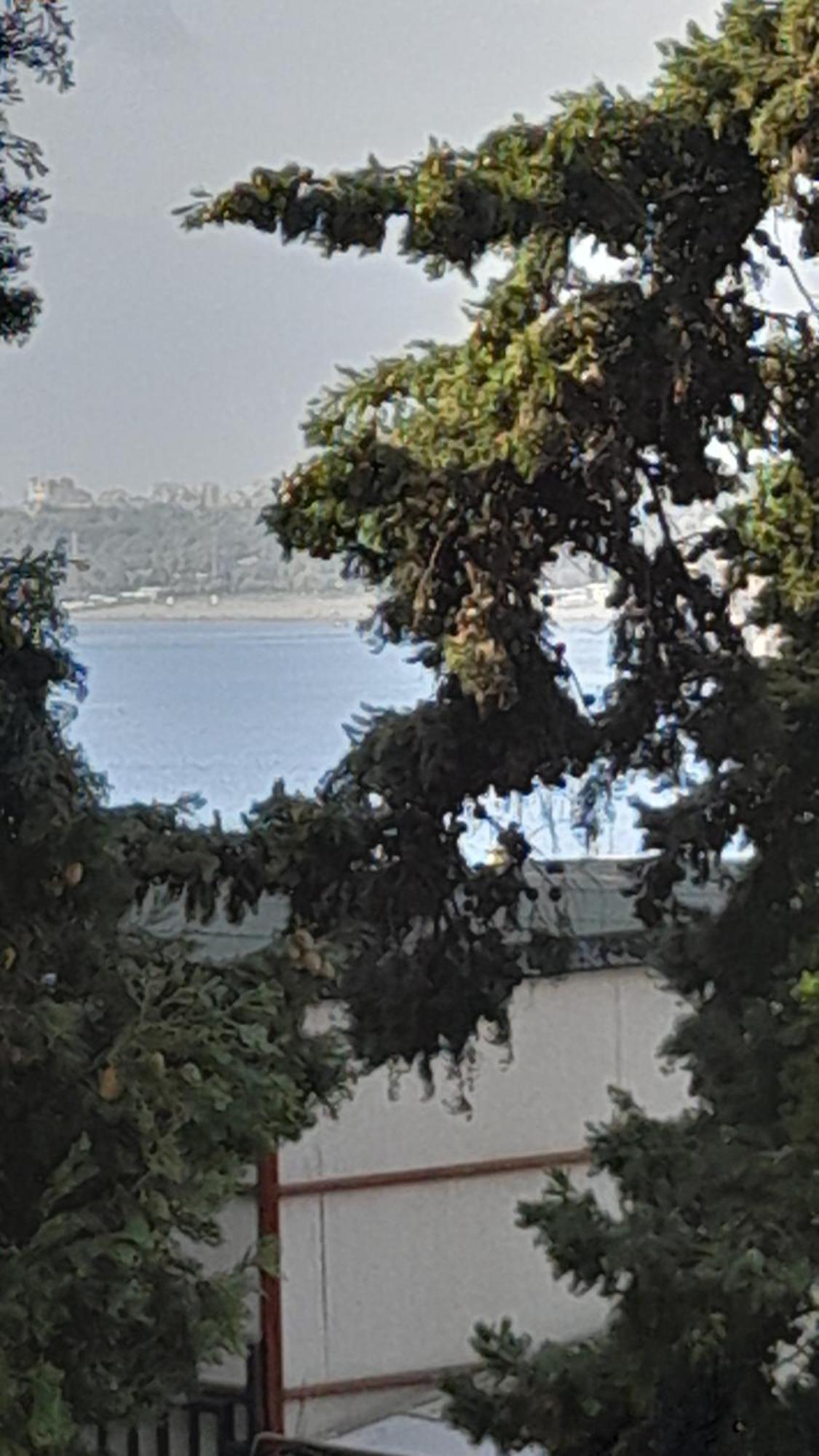 Hamburg Antalya