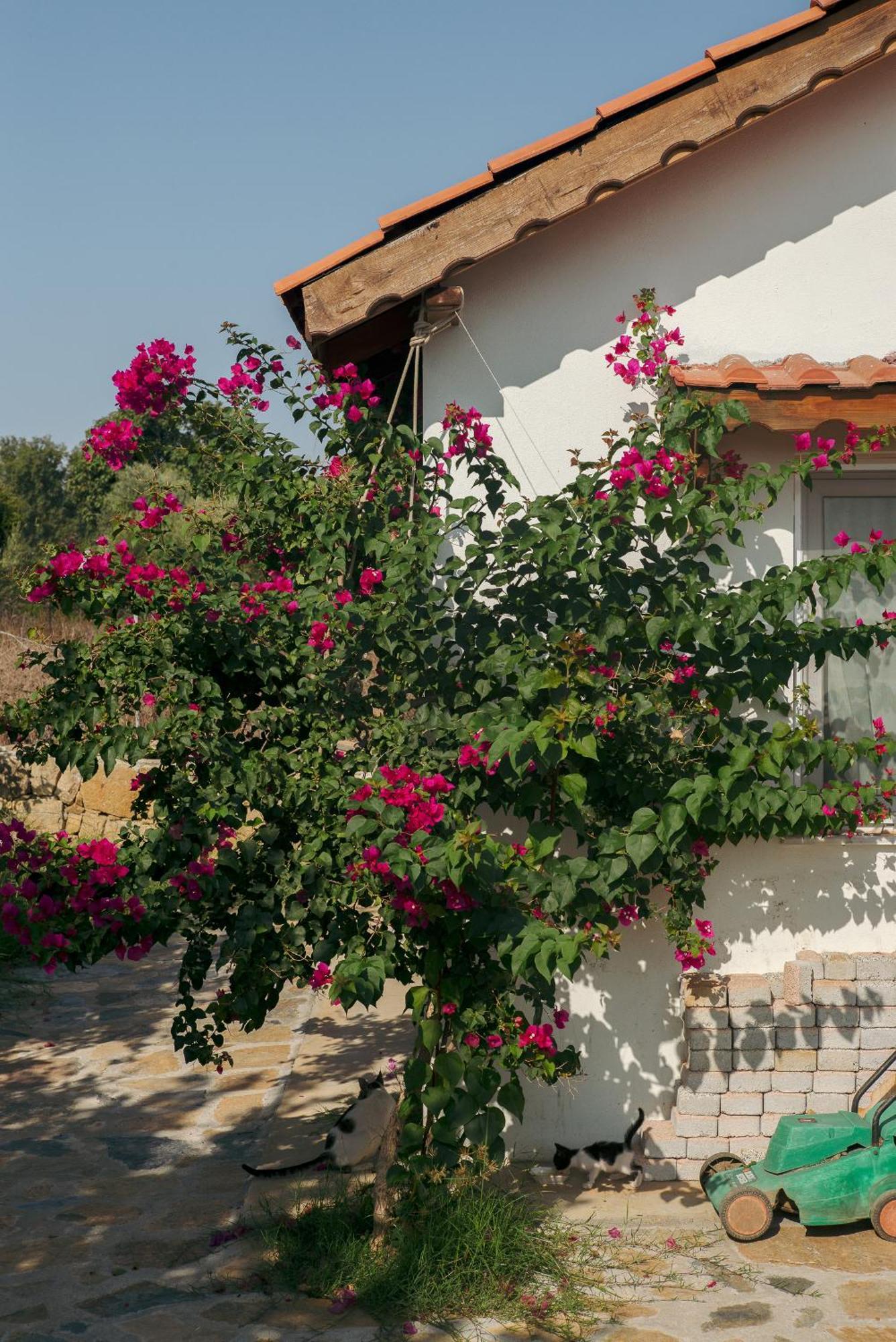 Masal Evimiz Villa *