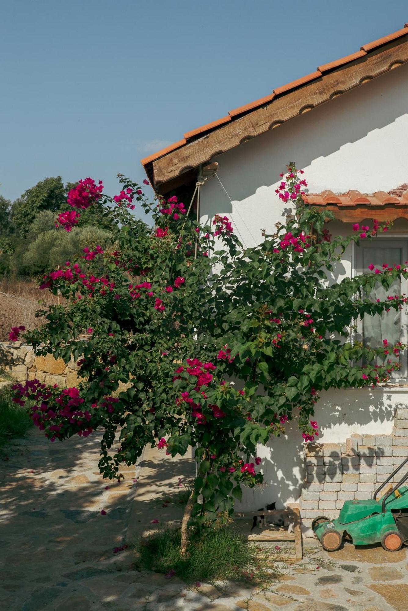 Masal Evimiz Antalya