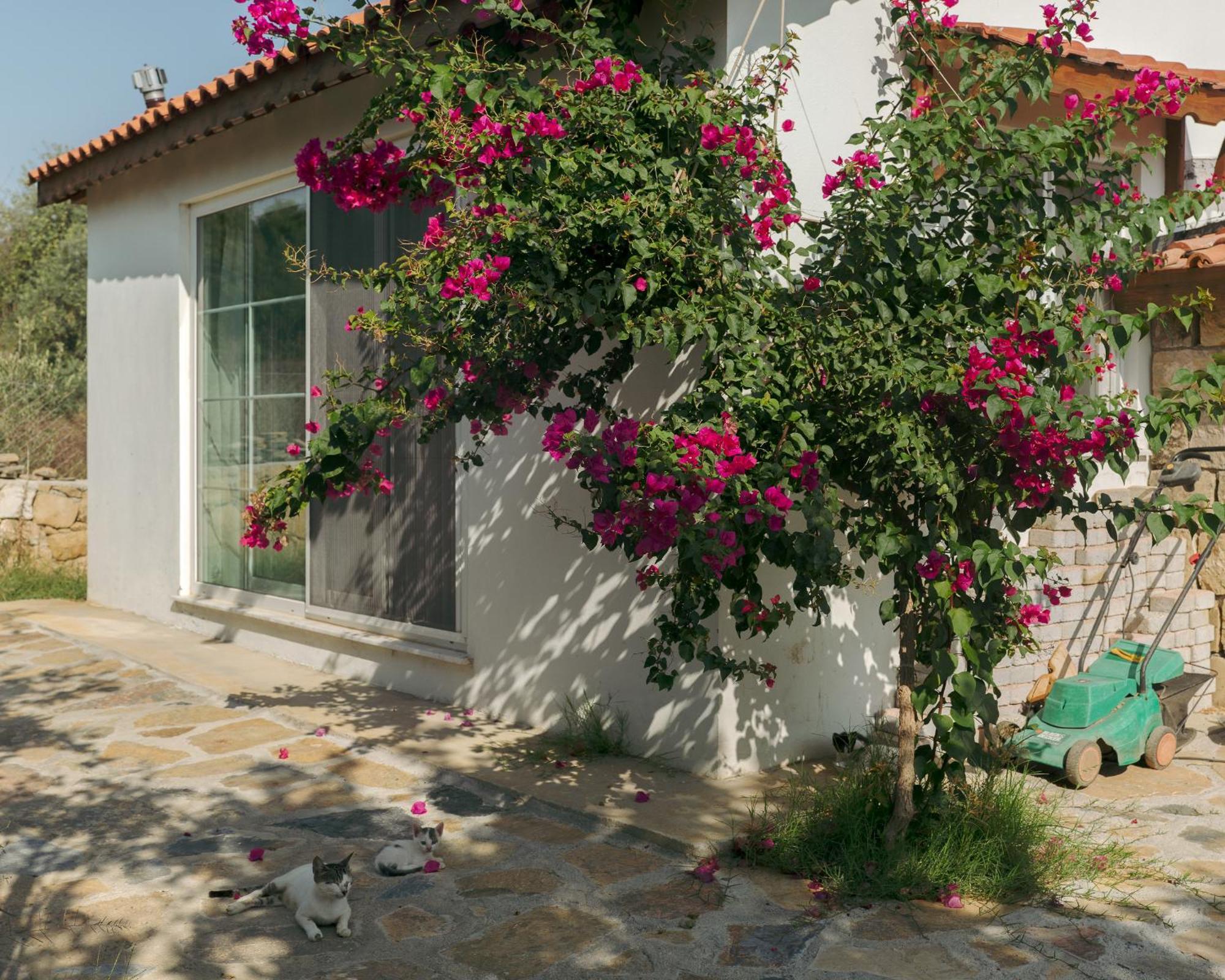 Villa Masal Evimiz *