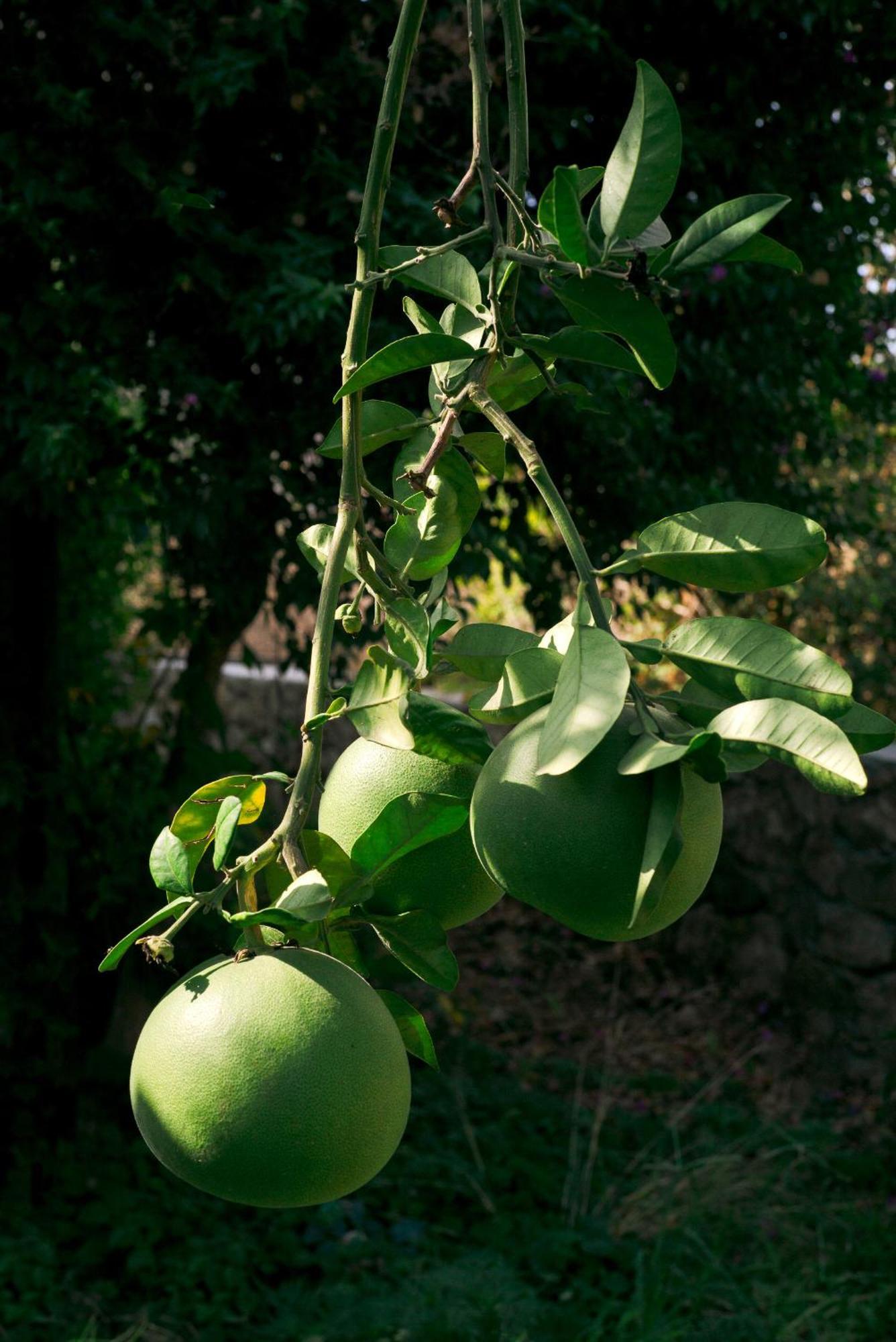 Masal Evimiz * Antalya