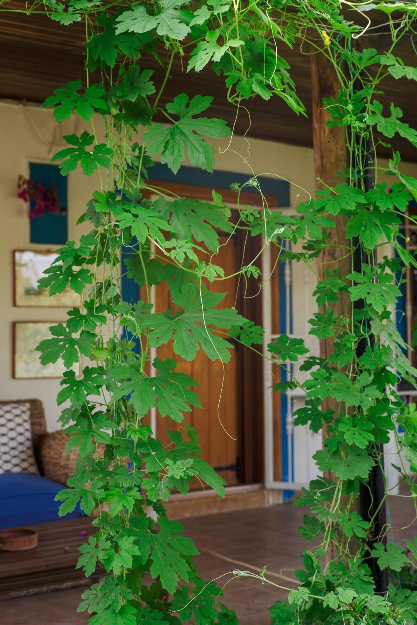 Masal Evimiz Antalya