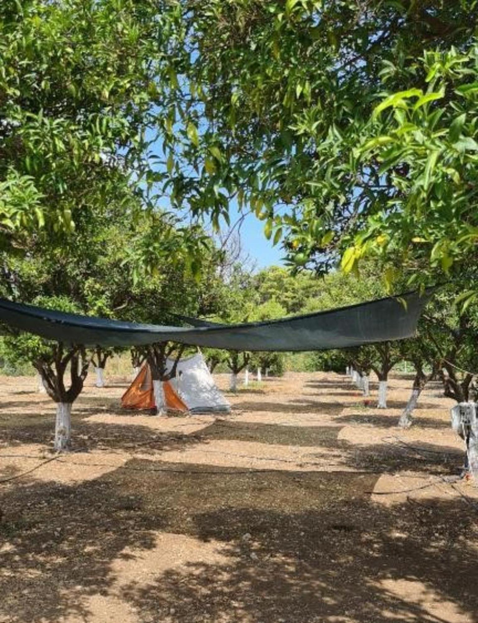 Orange Camp Campsite Antalya