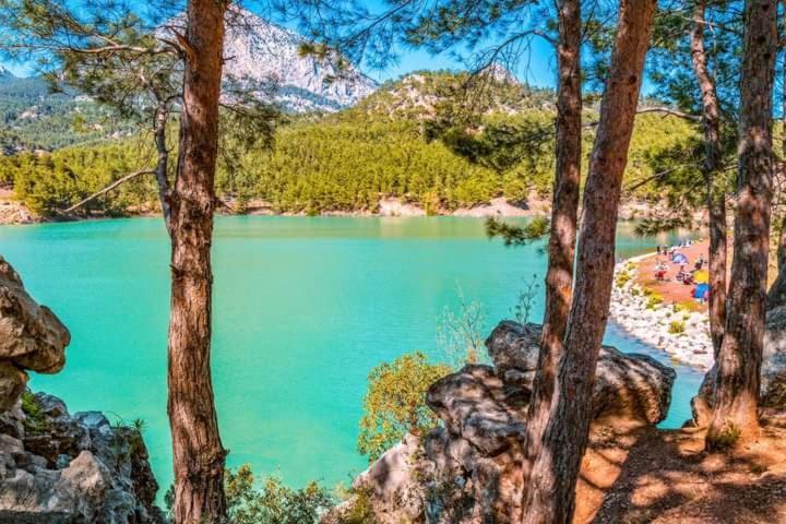 Demeter Rose Stonehouse Pansion Homestay Antalya