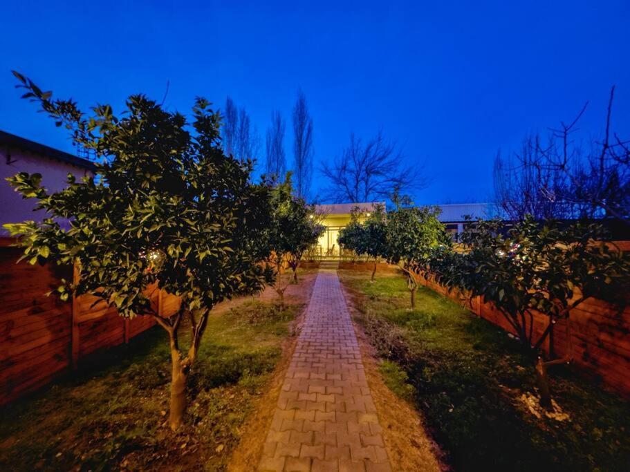 Stylish Garden Retreat, Ultimate Relaxation *