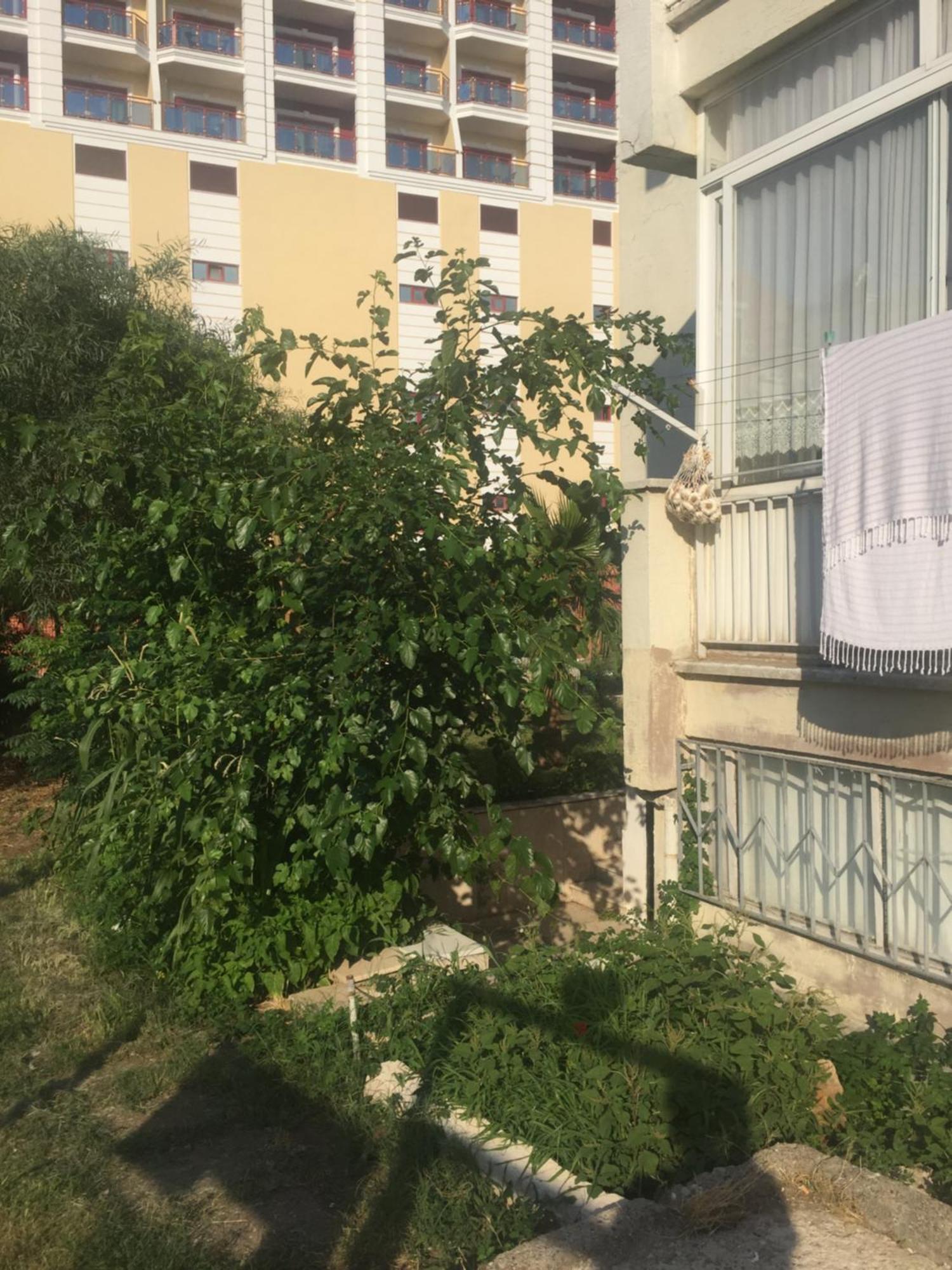 Ornekkoy Sitesinde Antalya