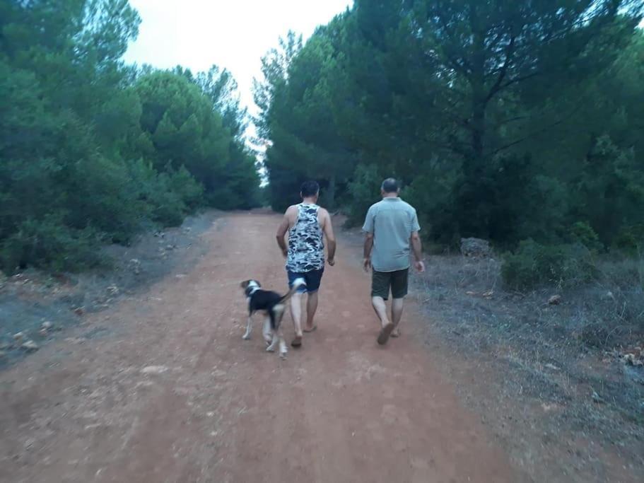 Tatil Evi Gizli Bir Cennet *