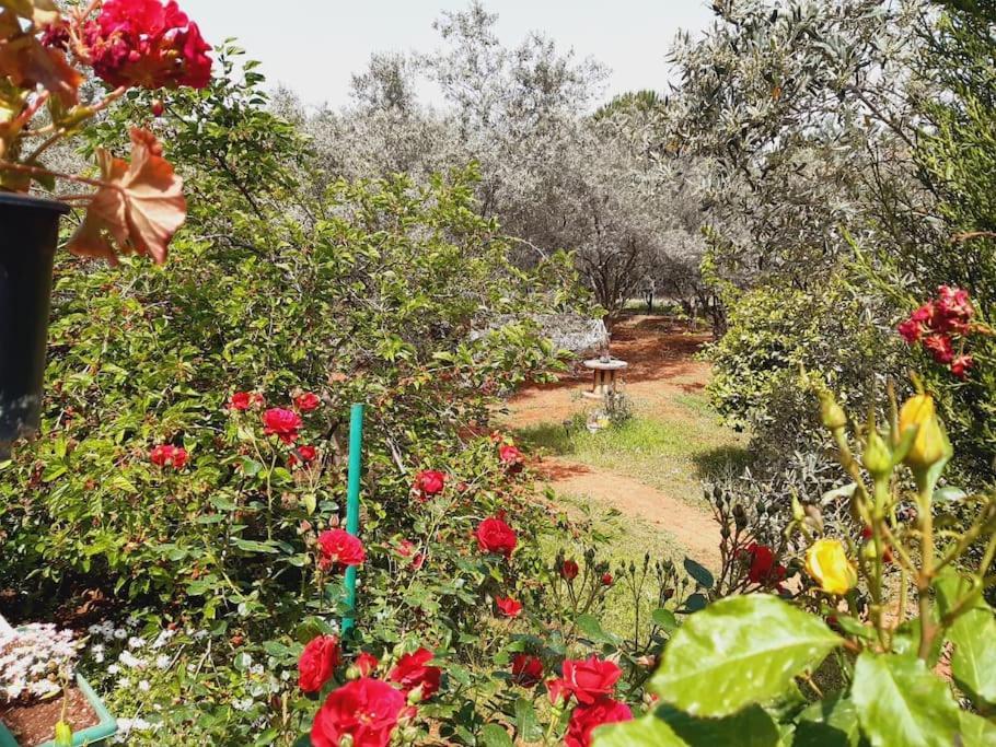 Tatil Evi Gizli Bir Cennet *