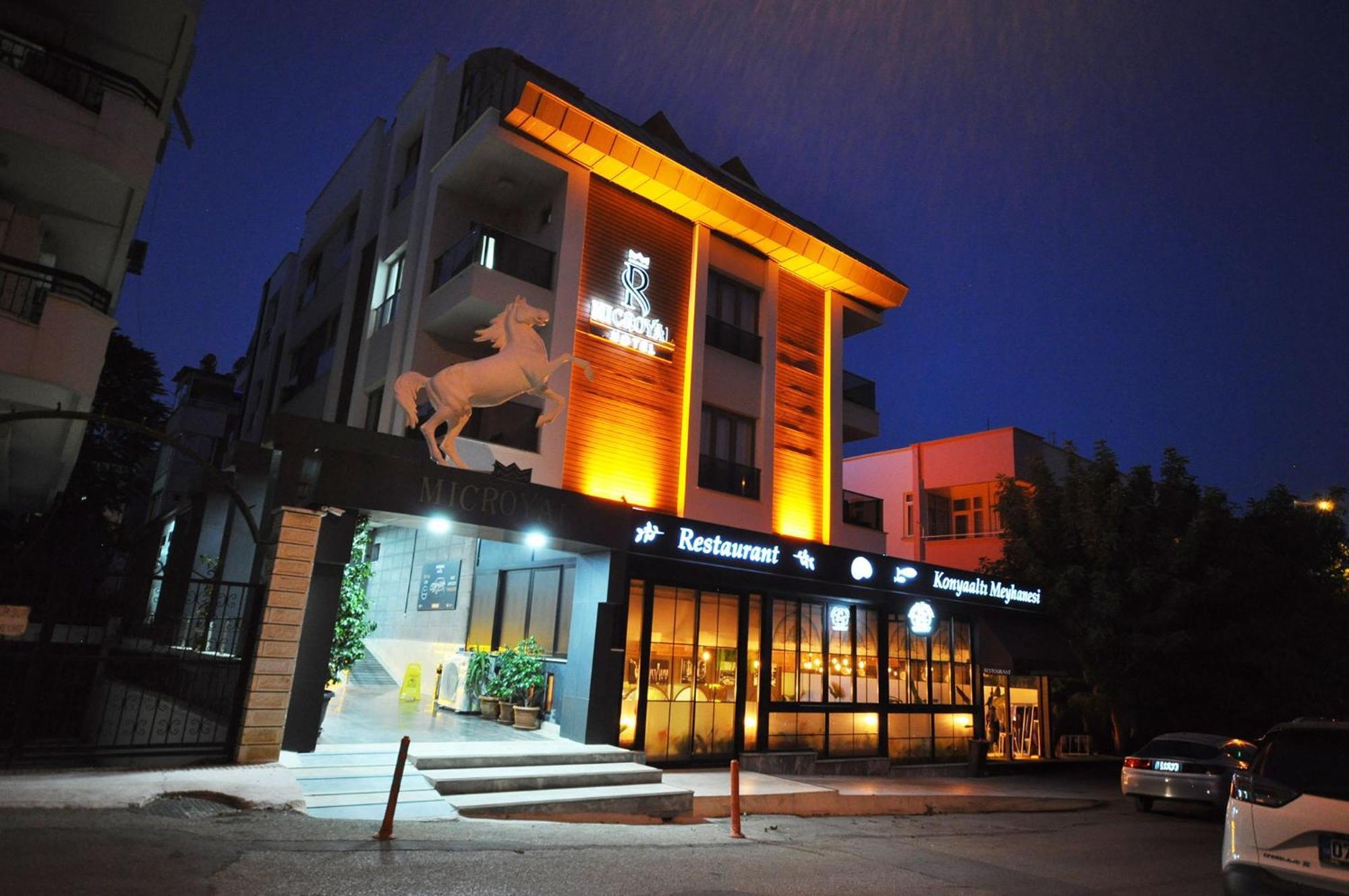 Otel Microyal