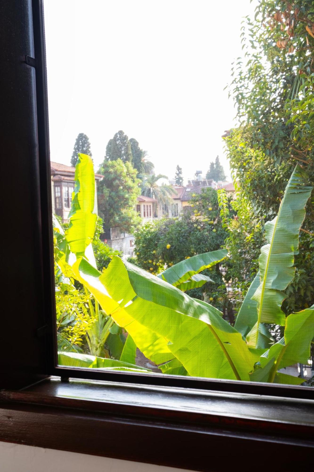 Saye House Antalya