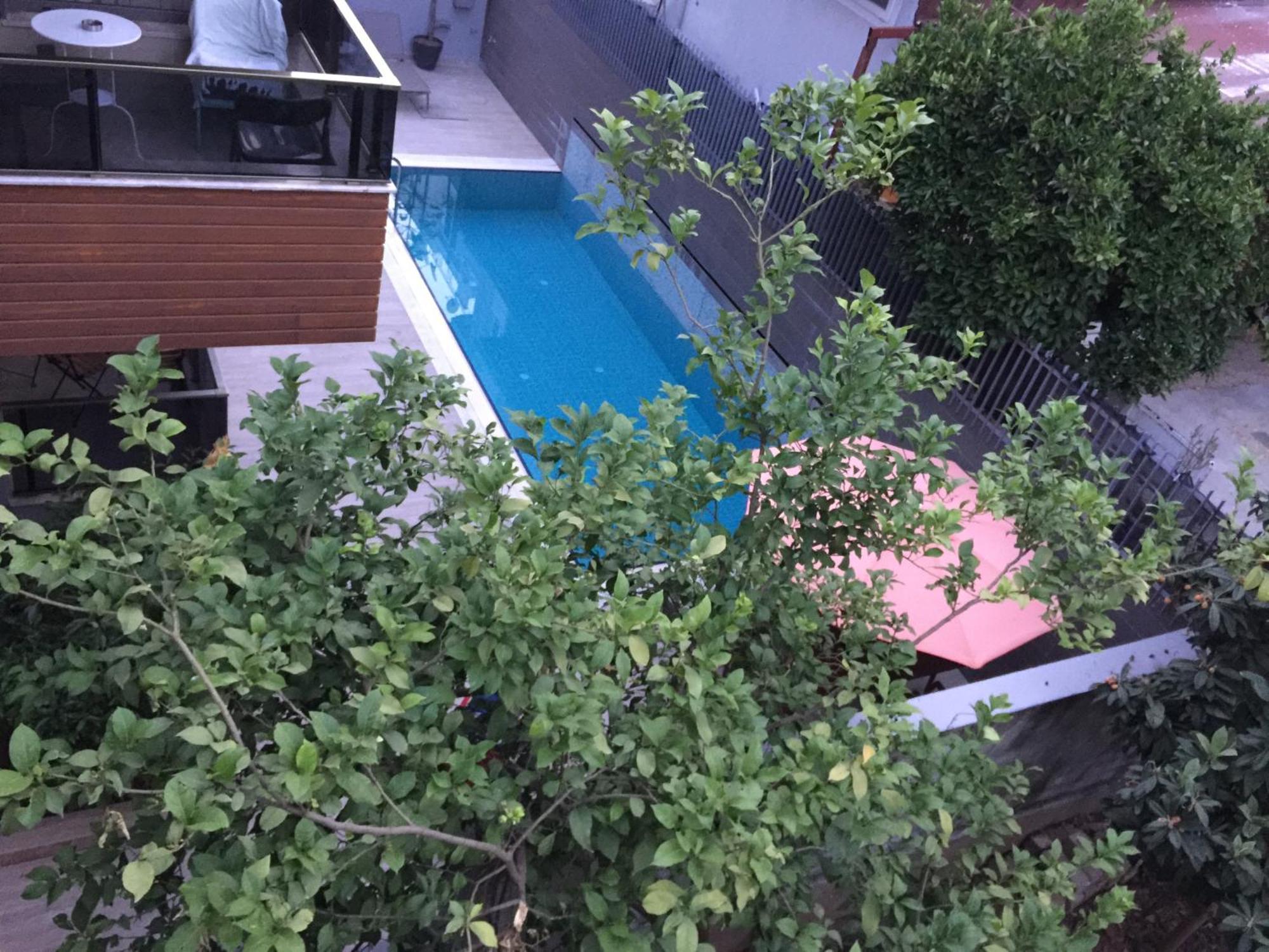 Kuk * Antalya