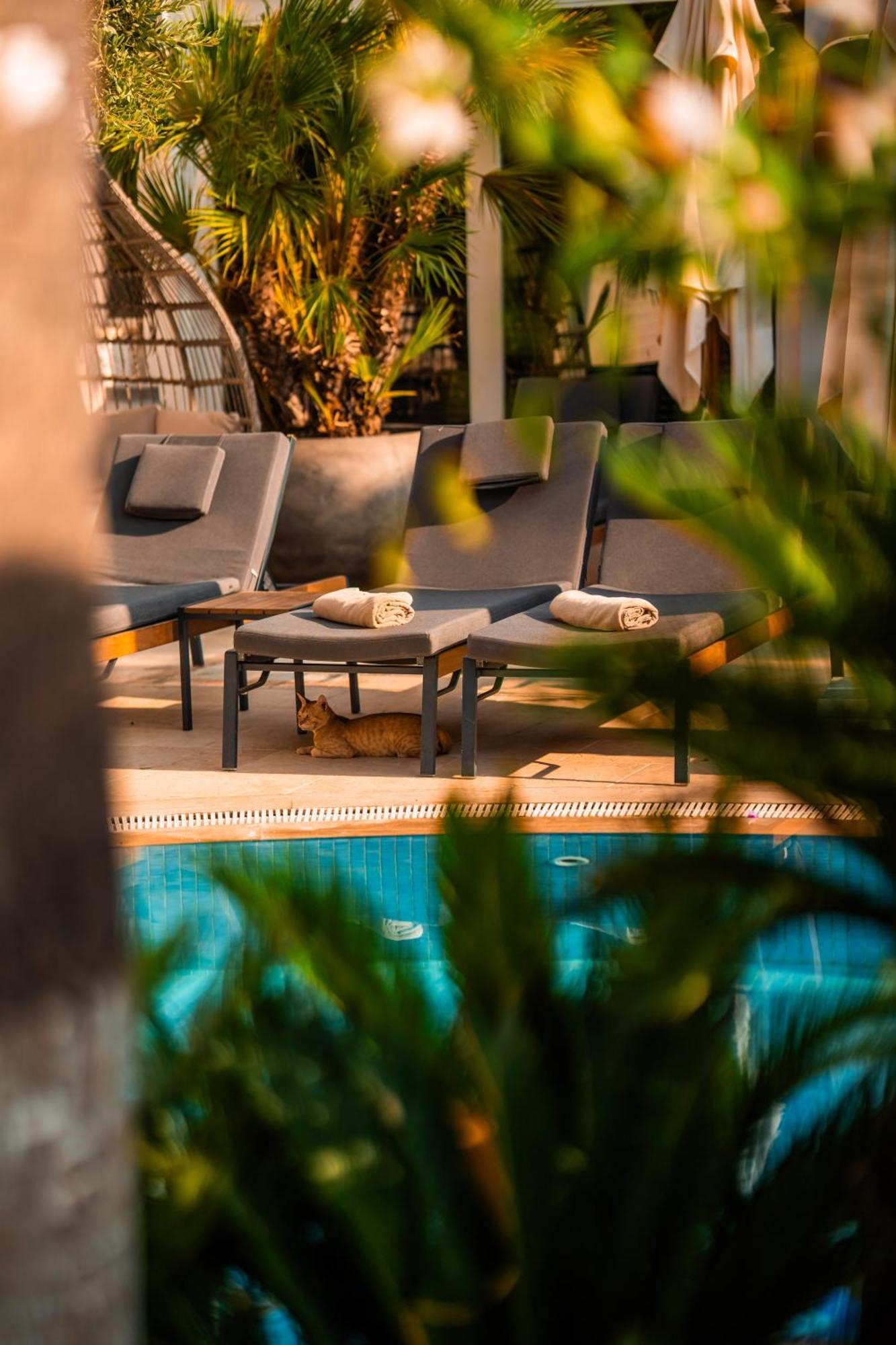 Elegance East Hotel Antalya