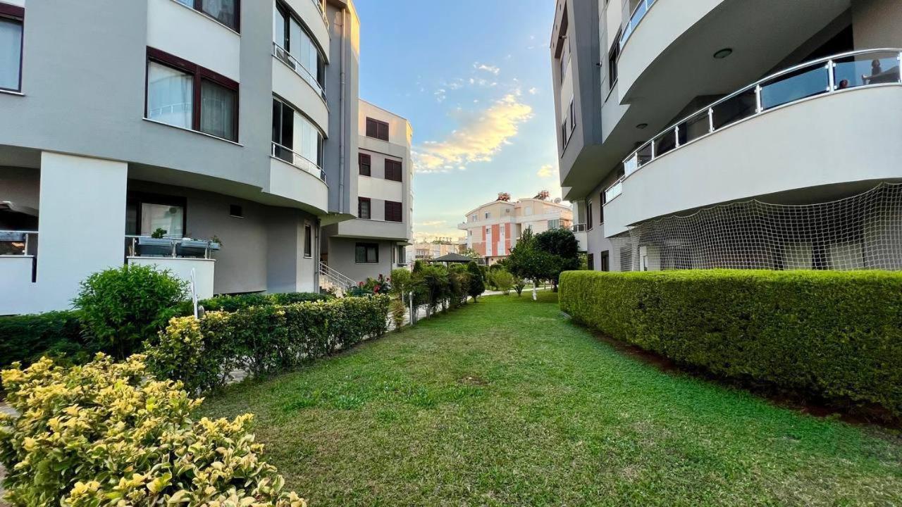 Sunny In Apartment *