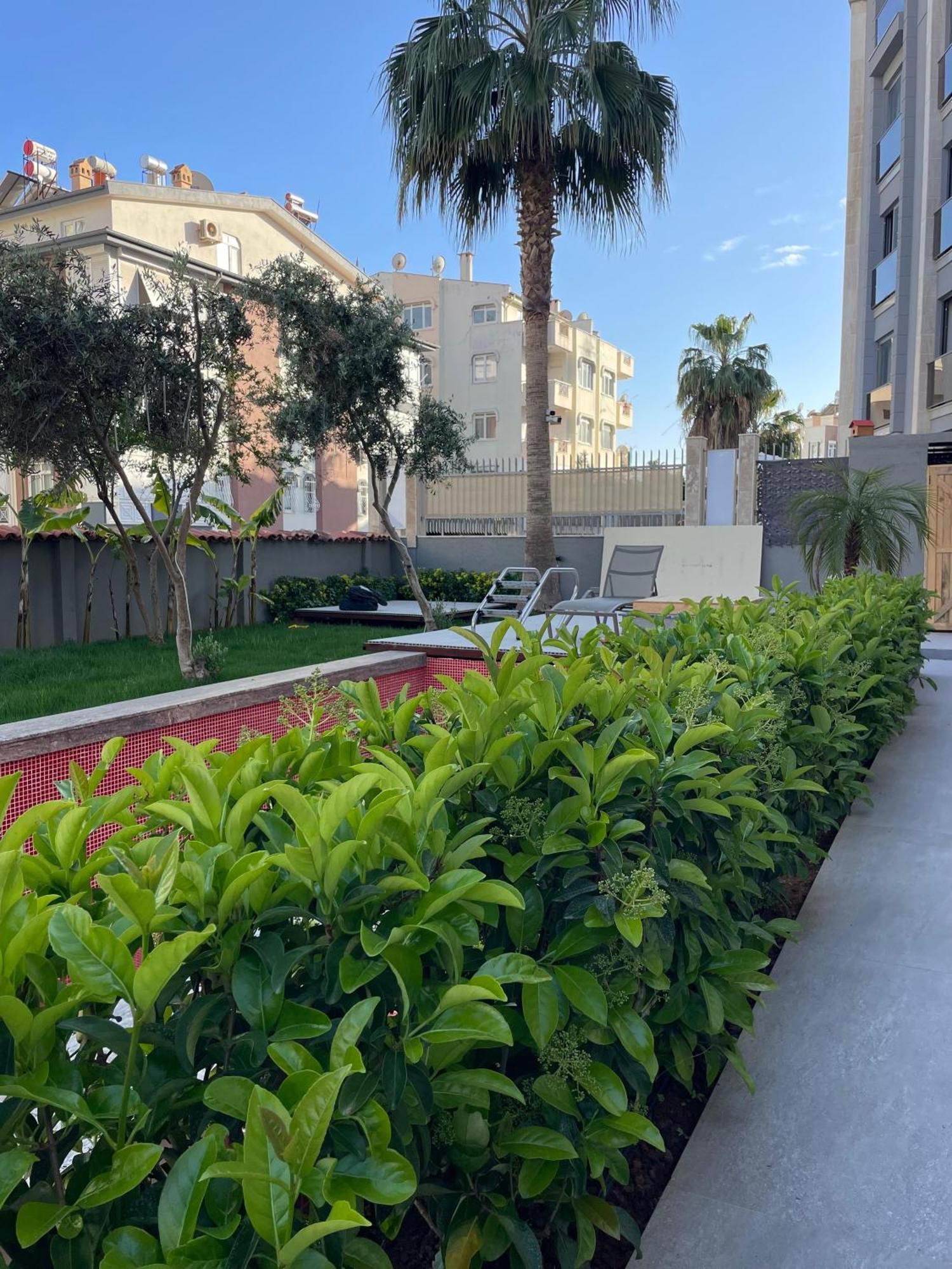Wolf Apartment Antalya