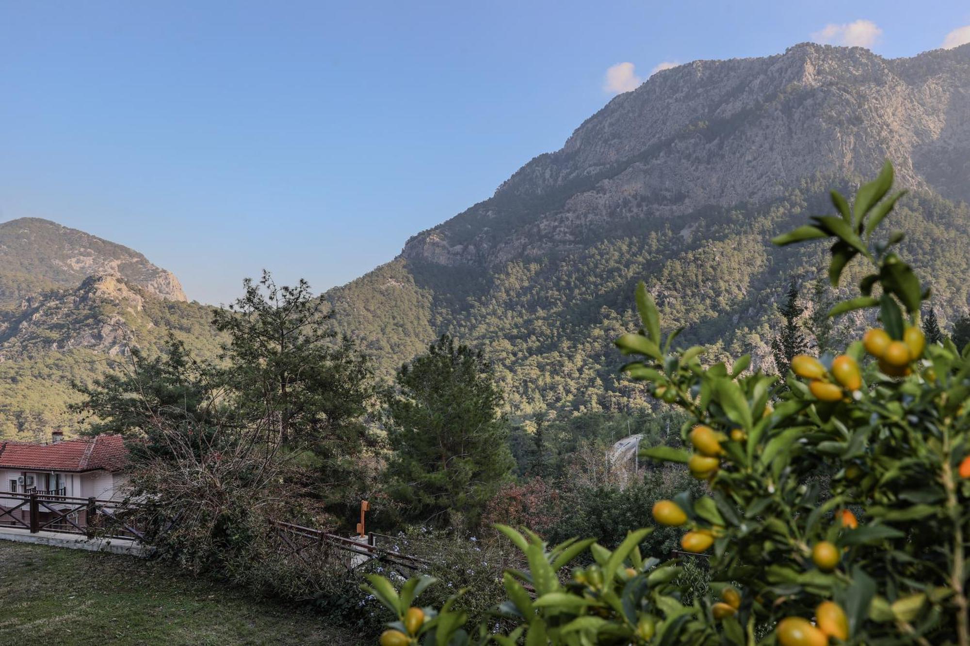 Villa Ganbaru Tours-antalya