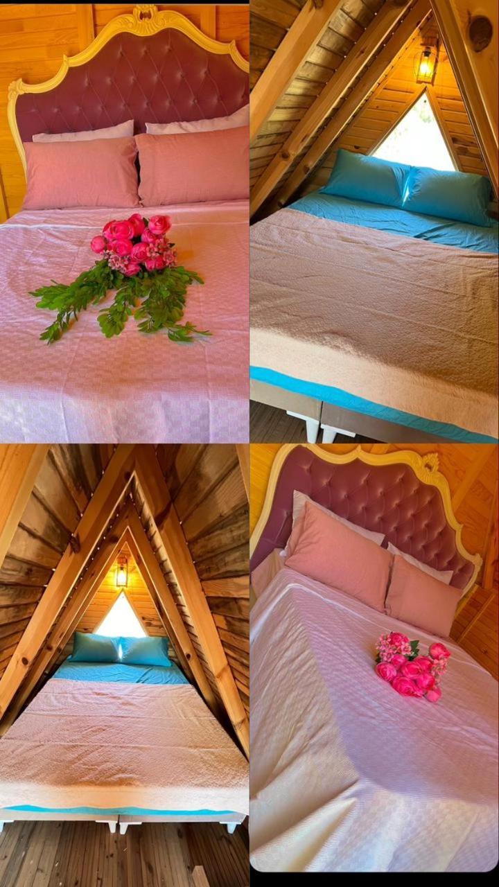 Bed & Breakfast La Bella Bungalow Antalya