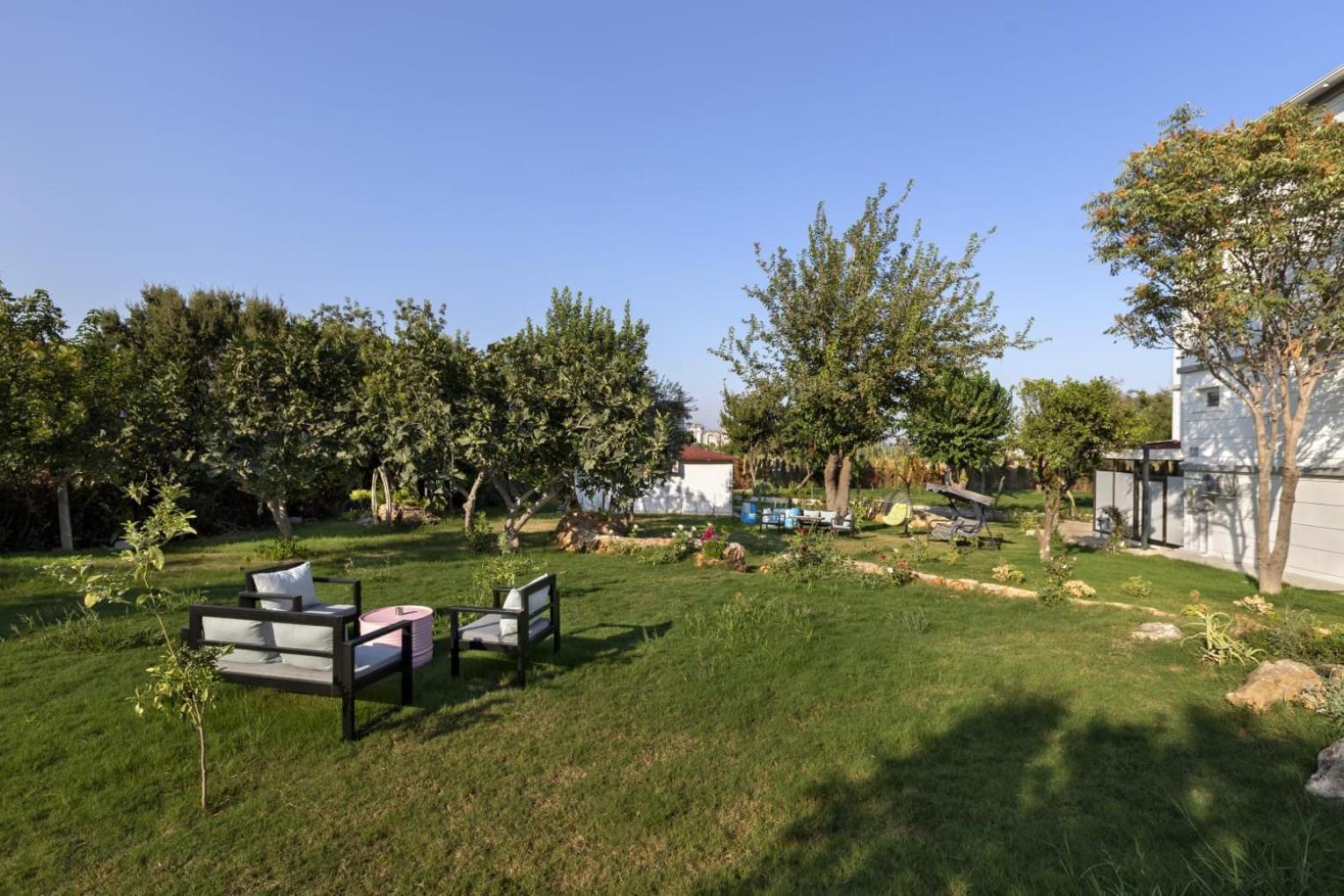 Oda ve Kahvaltı La Cactus Boutique Antalya