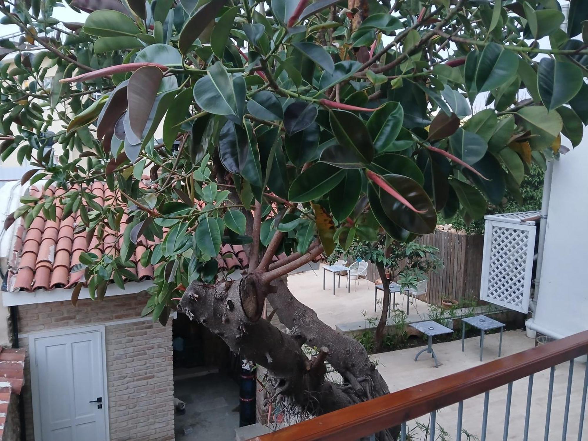 House Of Good Things Zeytin çıkmazı Otel