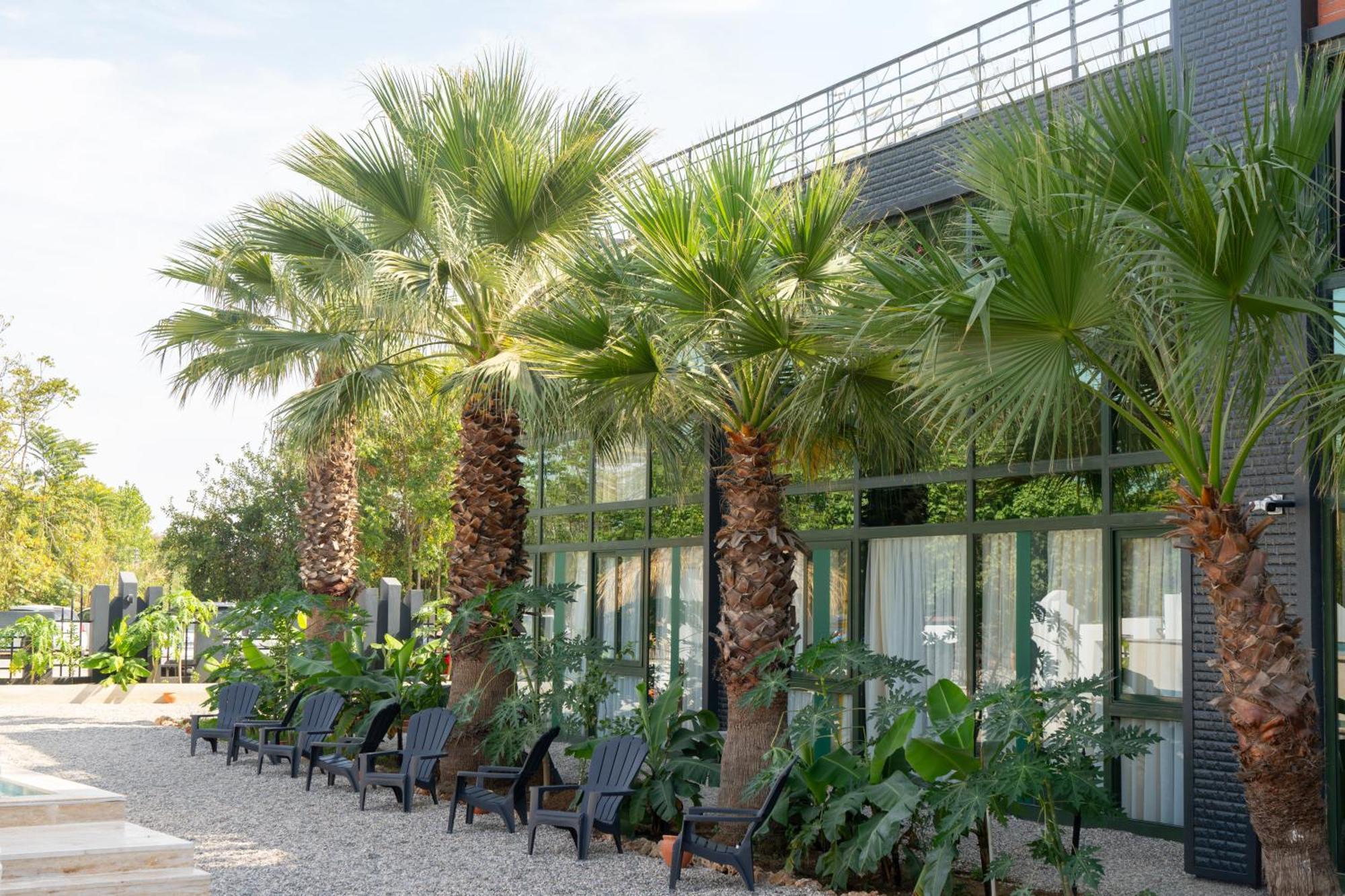 Inno Concept Antalya