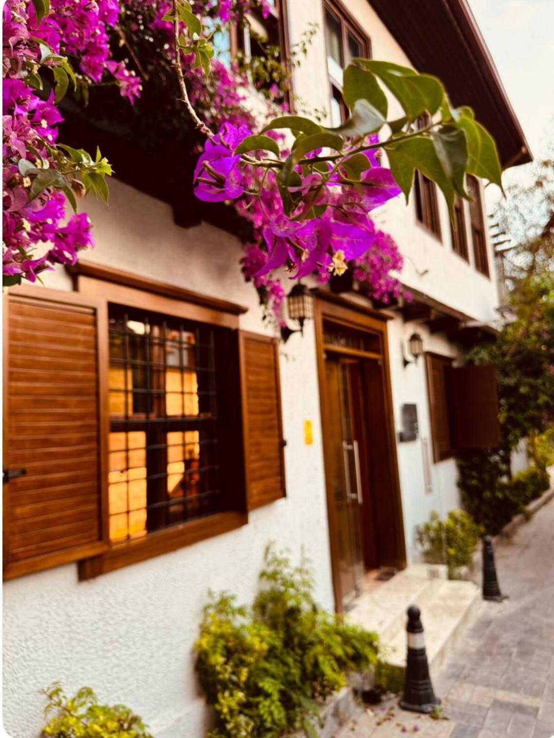 Nills Villa
