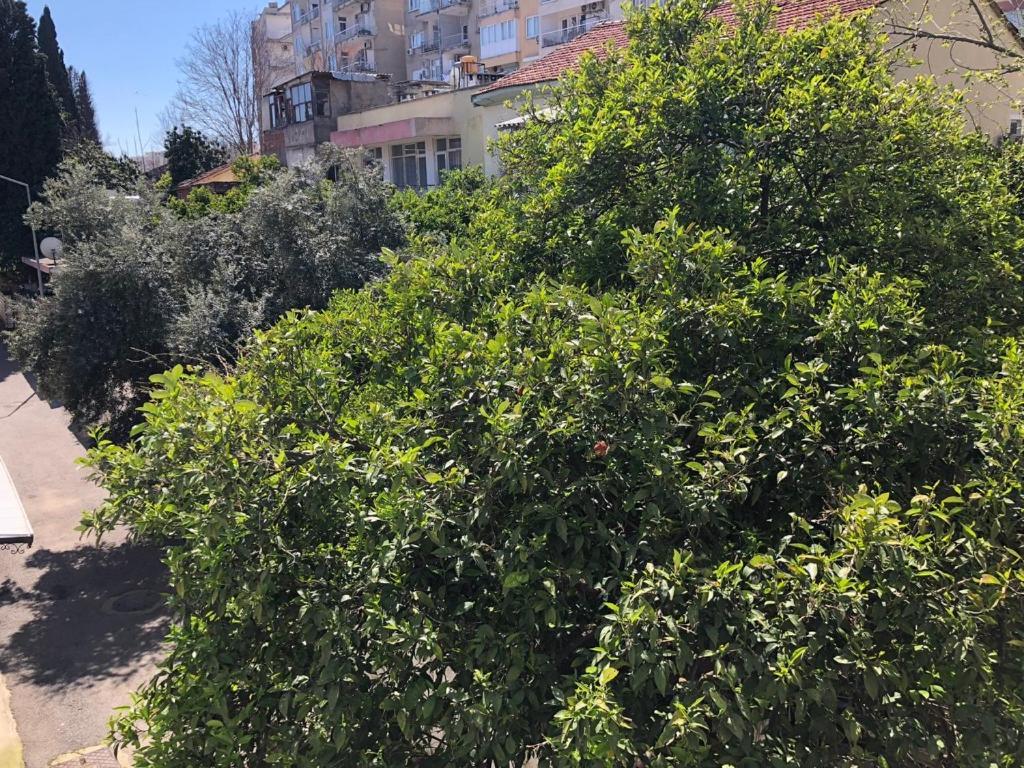 Merkez Deniz Yakini Muhtesem Mutfakli Antalya