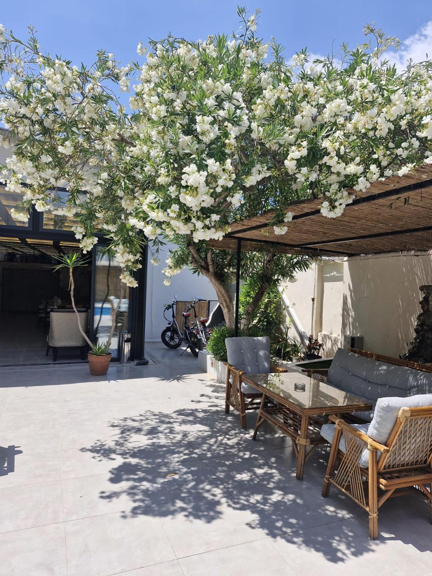 Vois Kemer Hotel Antalya