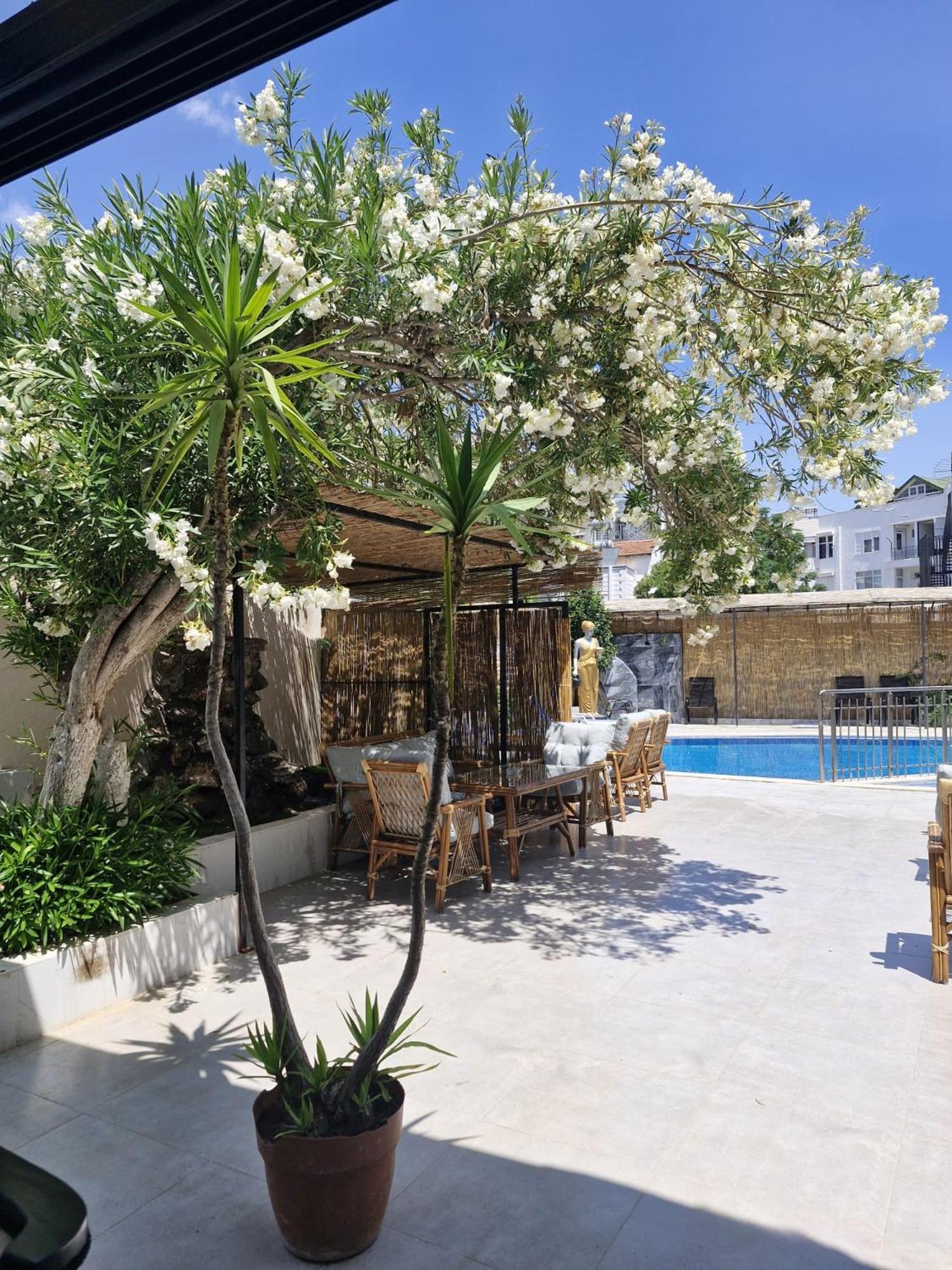 Vois Kemer 3* Antalya