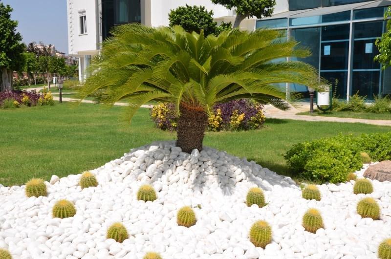 Onkel Residences *
