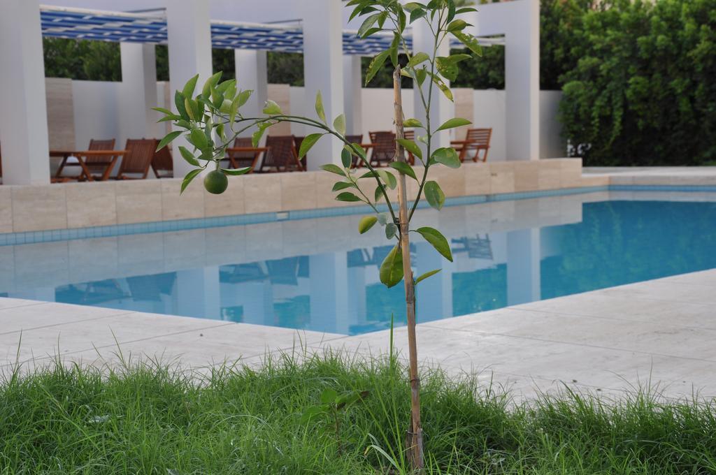 Aparthotel Boutique Mim-a