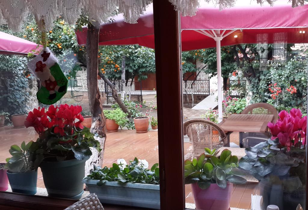 Citrus Garden Hotel
