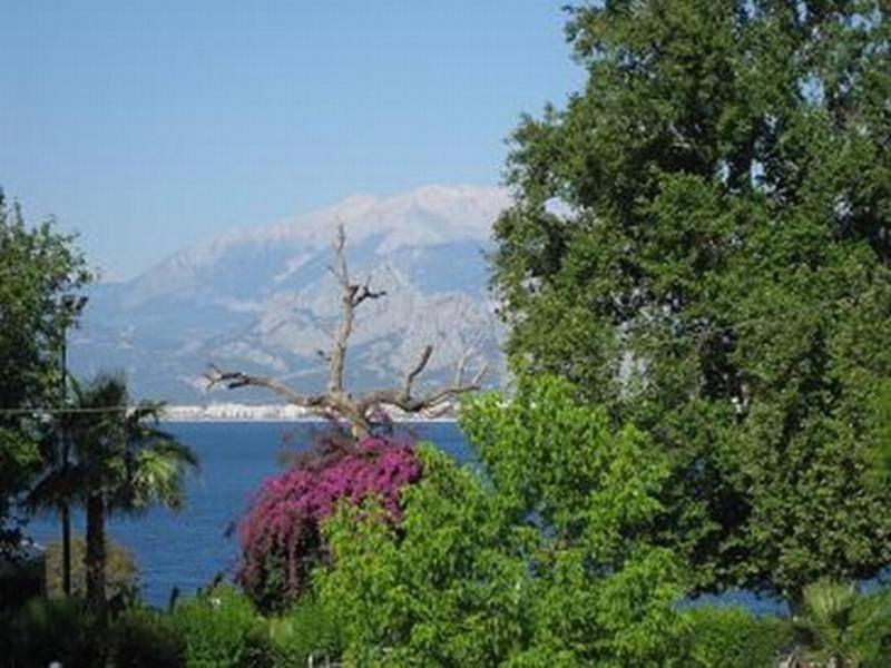 Blue Sea Garden Otel